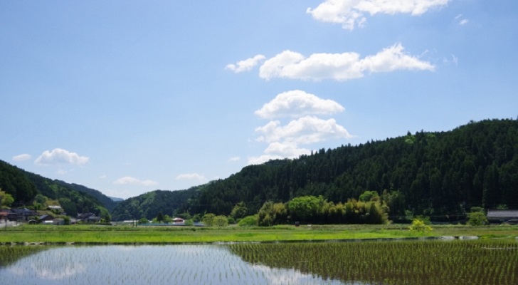 田舎暮らし